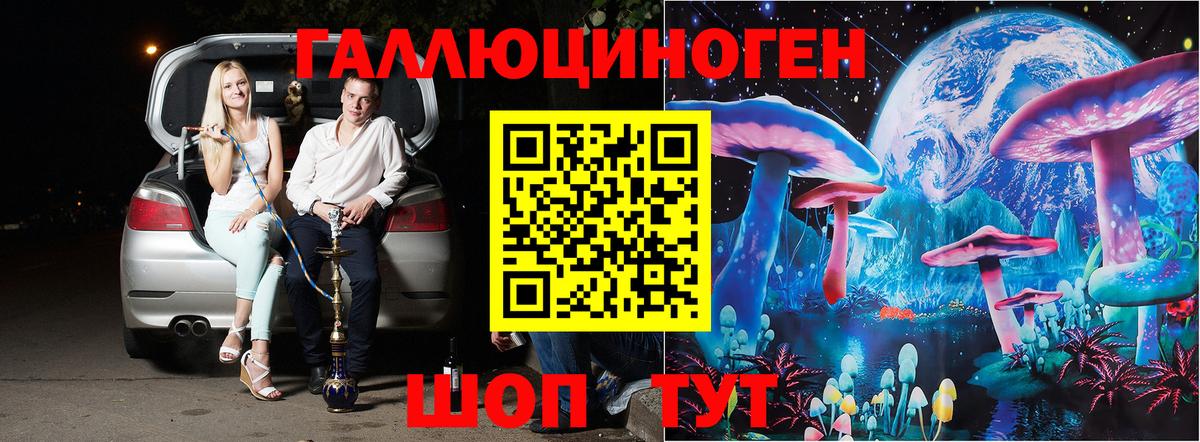 Галлюциногенные грибы Psilocybe Карабулак