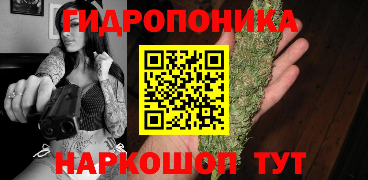Шишки марихуана план  Вход с VPN  Карабулак  Бошки марихуана White Widow 